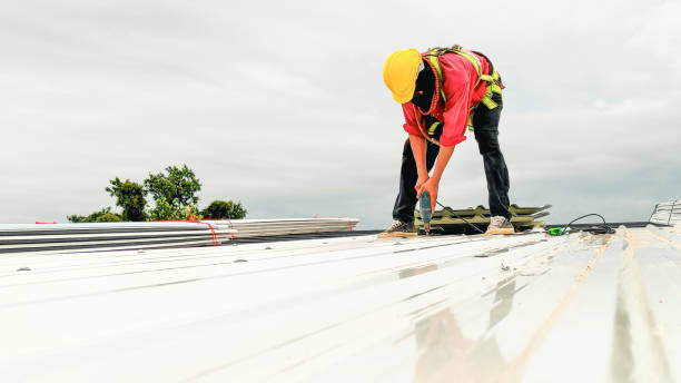 Best Roof Insulation Installation  in Angola On The Lake, NY