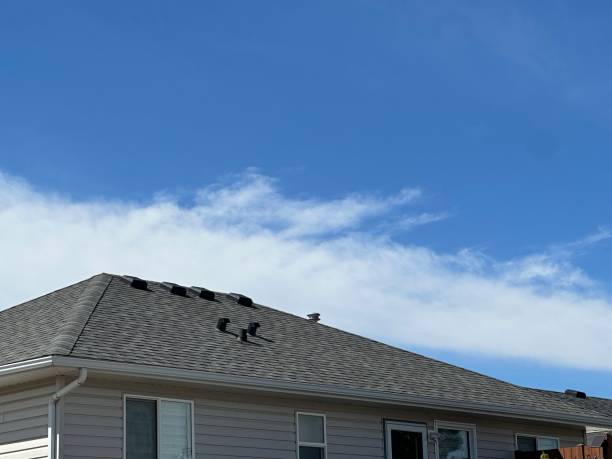 Best Roof Moss and Algae Removal  in Angola On The Lake, NY